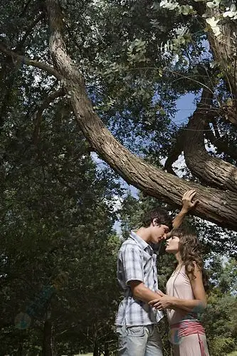 大树下亲密热恋情侣高清图片下载