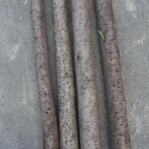 匠师傅匠师傅桃木原木树枝桃木剑挂件婴儿孕妇随身携带饰品摆件东南