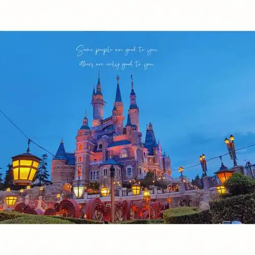 很明智的 在五一大假那么多人的情况下还是玩了十多个项目#上海迪士尼