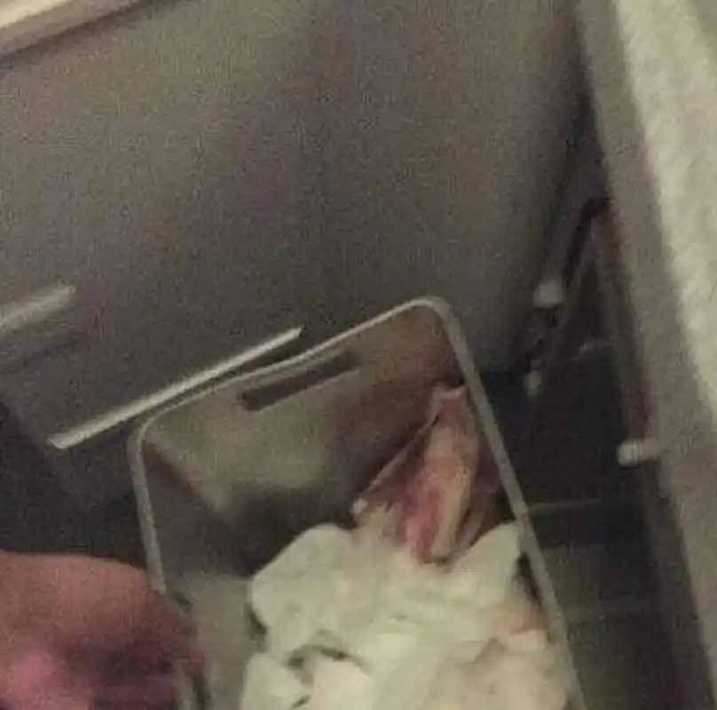 今天去姨妈家看望,发现她厕所的纸篓里,有带血的纸巾,好像是当姨妈巾