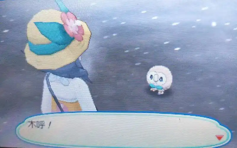 【精灵宝可梦】南小鸟(木木枭):不进化也可以拿冠军!