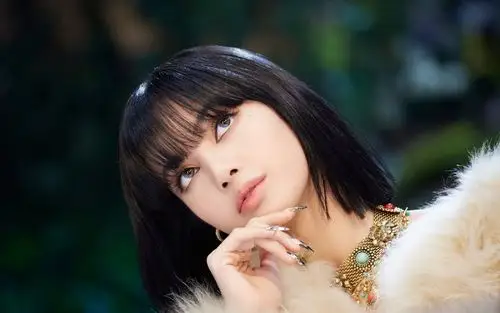 lisa - 堆糖,美图壁纸兴趣社区