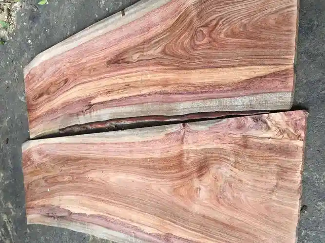 rhodesian copalwood 鞘籽古夷苏木(guibourtia coleosperma)小巴花