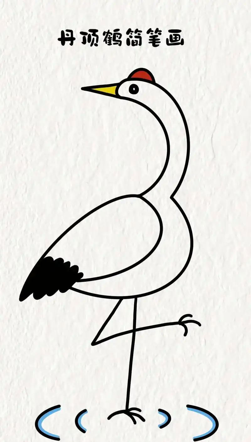丹顶鹤简笔画.#简笔画 #儿童画 #绘画 #一学就会系列 # - 抖音