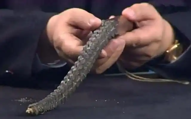 成吉思汗用过的马鞭,姑娘来鉴定自估500万,专家上手一看:好鞭