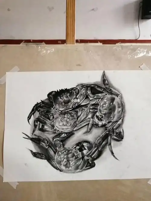 螃蟹  #原创  #写生  #素描  #画画  #美术生  #画画的日常