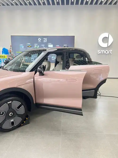 17.9w级别梦中小情人,奔驰smart精灵1号