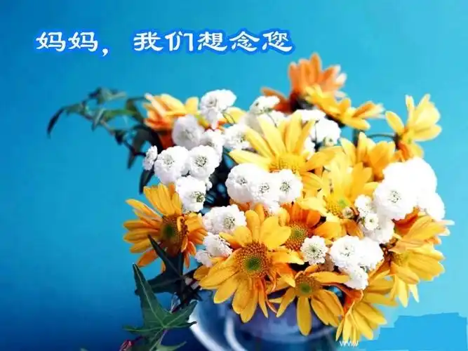 妈妈,我想念您!---母亲逝世周年之缅怀