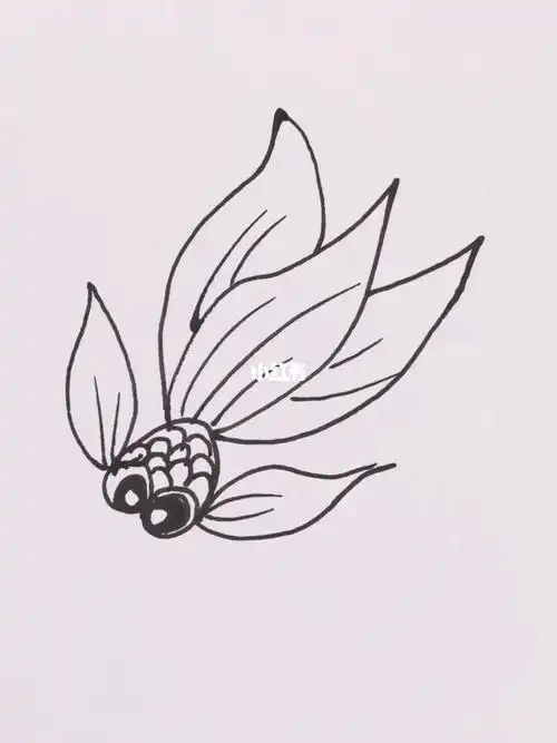 金鱼简笔画