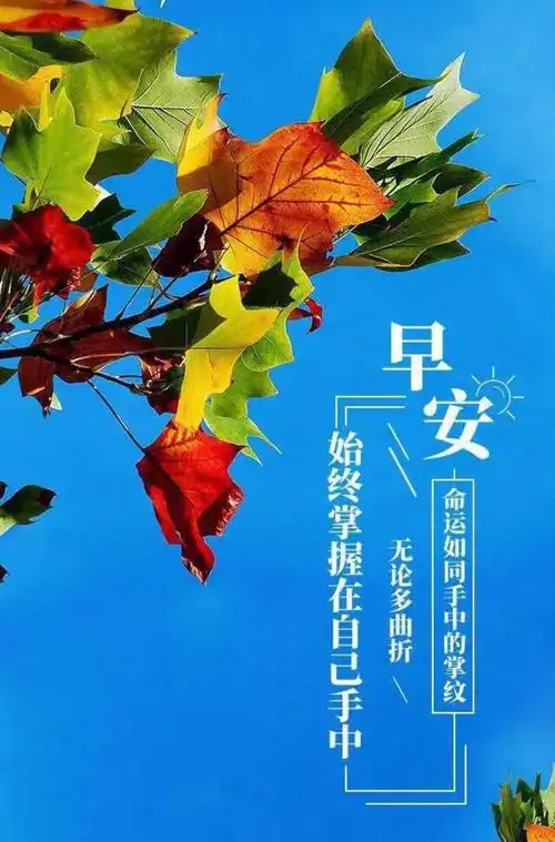 早安图片大全朋友圈最全最美早安图片大全