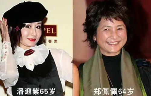 潘迎紫和郑佩佩