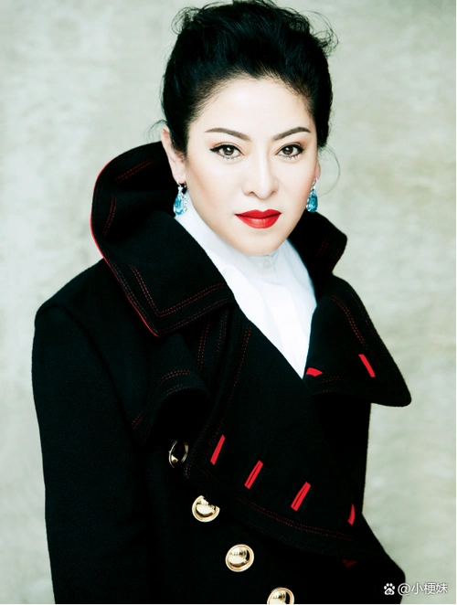 与我们影像中白白胖胖,犀利精明的陈岚不同,照片中陈岚年轻的时候,是