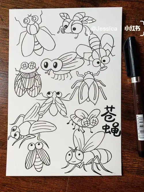 苍蝇手绘手帐素材简笔画临摹练习黑白线稿图