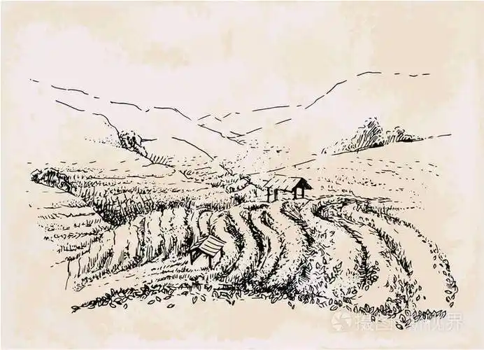 茶园手绘复古景观插画-正版商用图片168suv-摄图新视界