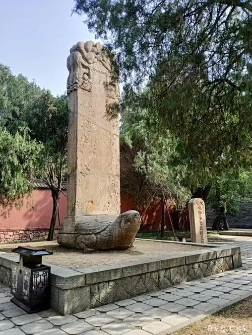 神龟驮碑,聚精会神