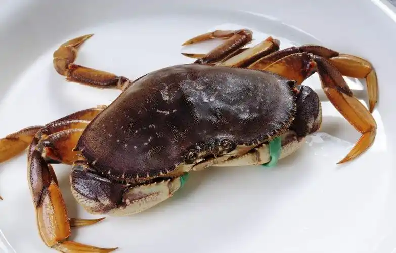 爱大厨      珍宝蟹 1.5~2斤/只￥600 立即购买