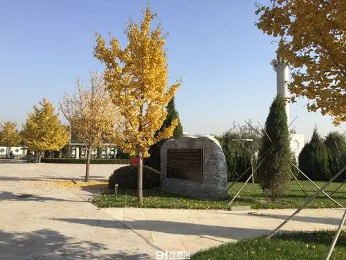 长青园骨灰林 _北京市长青园骨灰林 _朝阳区长青园骨灰林 _北京市朝阳