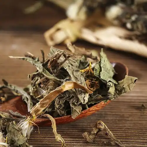 蒲公英干500克野生新鲜晒干蒲公英婆婆丁蒲公英茶50g中药材