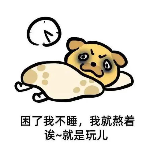 熬夜表情包我明天一定早睡
