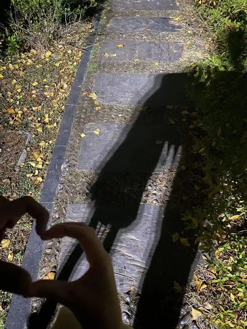 随拍 #影子 #185大帅哥 #夜晚拍照才有感觉 有点社恐 - 抖音