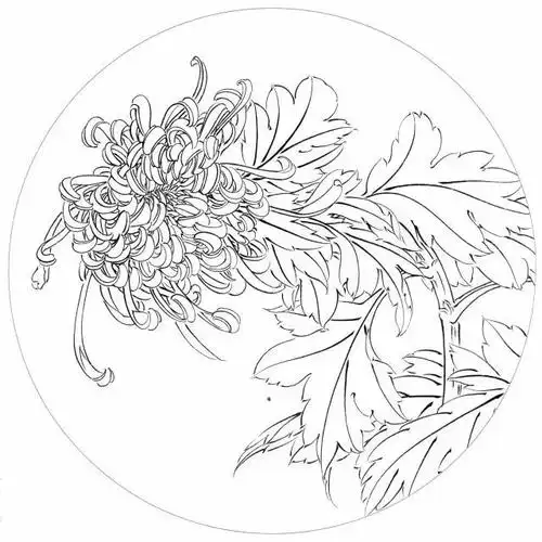 书画联盟丨寓意吉祥的工笔花鸟画白描底稿合集