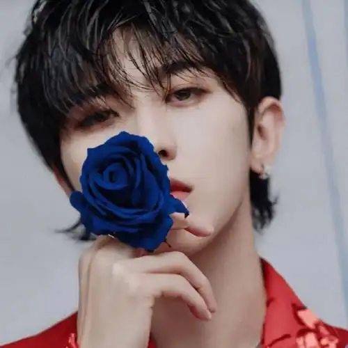 【微信头像】蔡徐坤