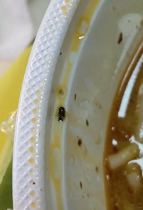 cao啊吃米线吃出虫子大家帮我看看这是蟑螂吗