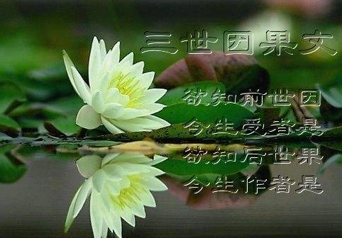 因果轮回,前世不欠,今生不见,今生相见,为了还债