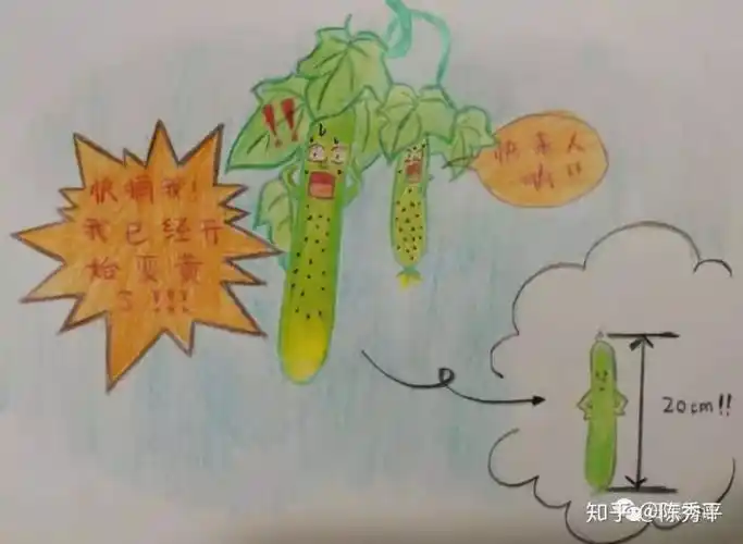 和小e一起学食育9--减肥好帮手黄瓜|e家食育