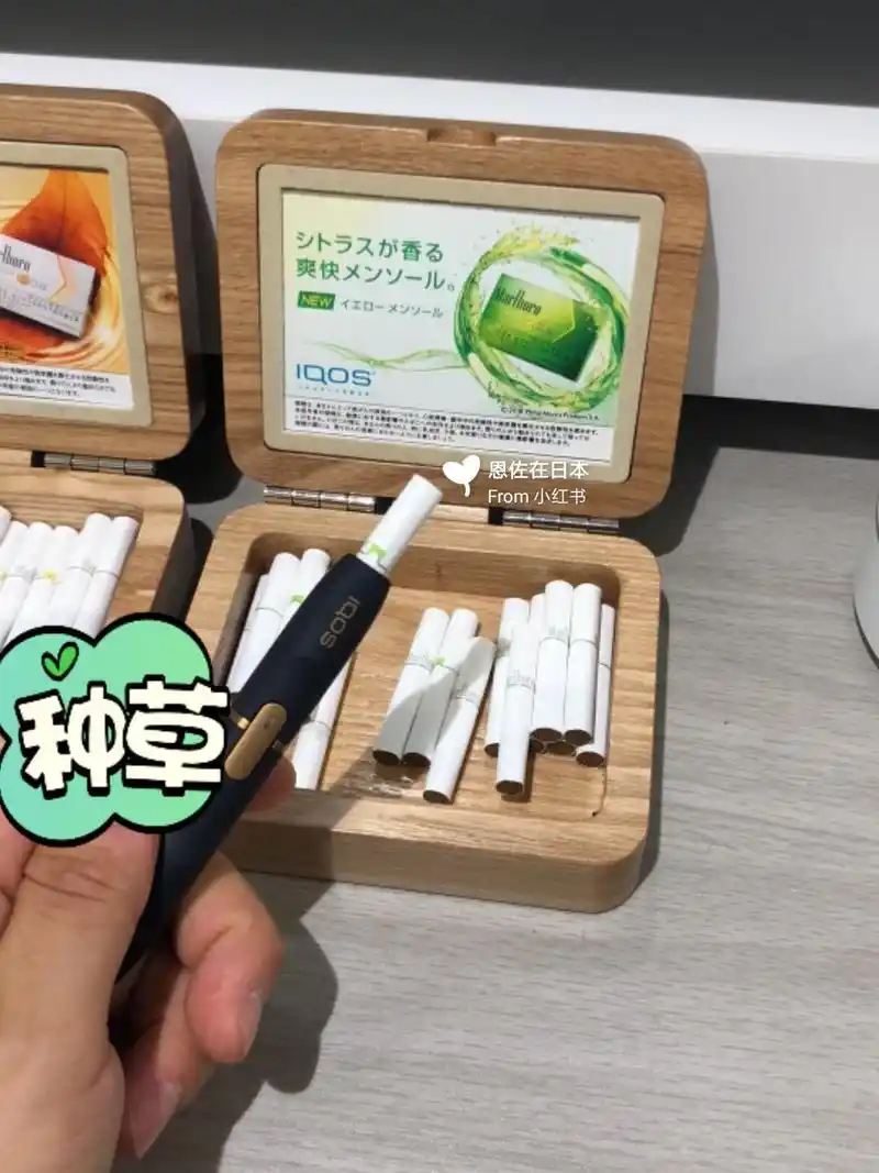 iqos烟弹 青柠薄荷 万宝路新口味 #iqos 柠檬薄荷 iqos电子烟 iqos