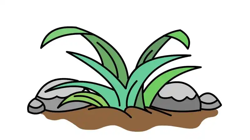 画小草怎么画 画小草的画法 -养娃家