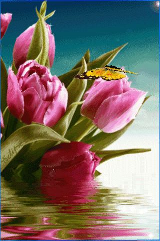 320_480竖版 竖屏gif 动态图 动图