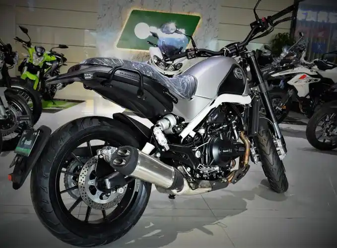 国产大排复古开创者贝纳利幼狮500静态体验