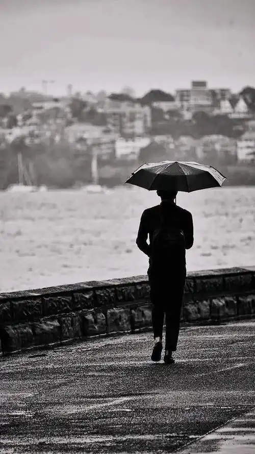 现代象征诗|漫步雨中