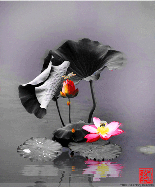 534_642gif 动态图 动图