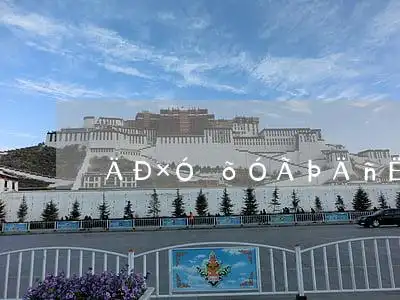 男子摔跤摸鸟算法规吗