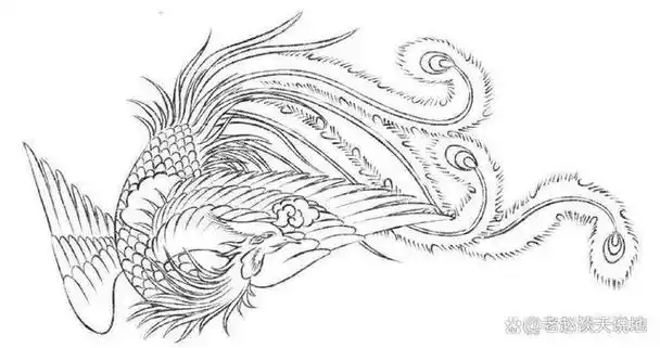 请记住凤凰怎么画