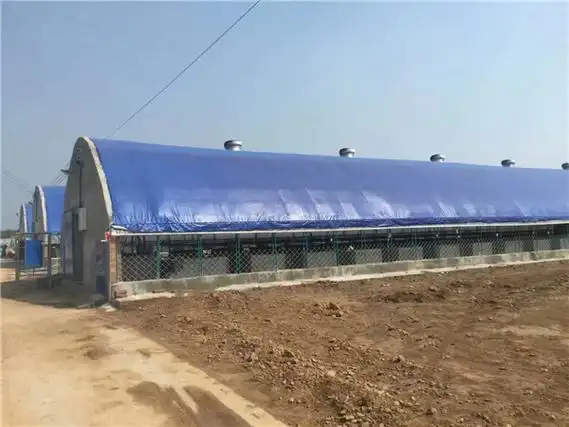 养猪-帅赫-养猪场建设