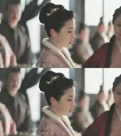 《知否知否应是绿肥红瘦》【盛淑兰】张含韵