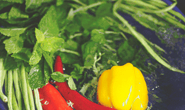 360_214gif 动态图 动图