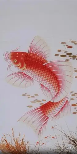 工笔国画红鲤鱼纯手绘