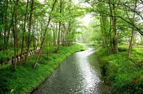 小河两岸春来早