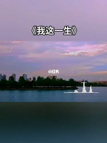 我这一生