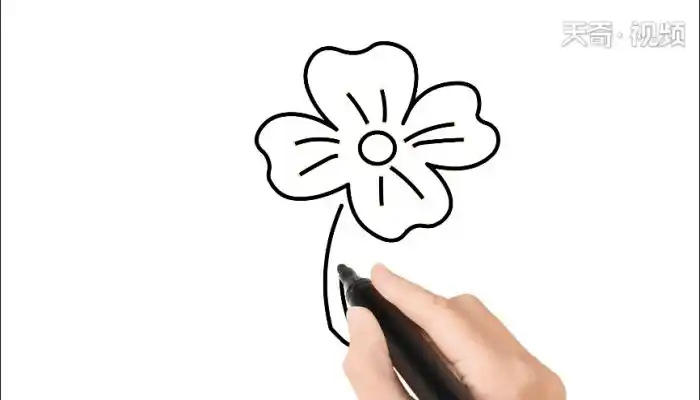 夜来香简笔画夜来香简笔画怎么画