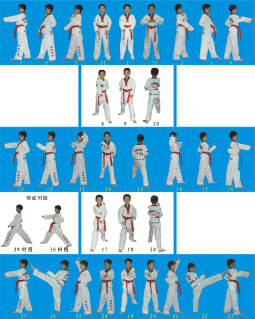 跆拳道--太极一章