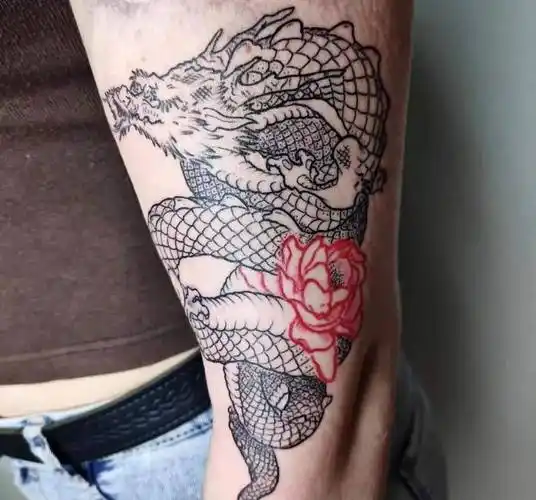 古籍中记载有翼飞龙,但与广为流传的"五爪金龙为天子象征"之说不同