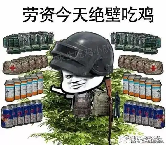 苟不存在的搞笑吃鸡图片表情合集