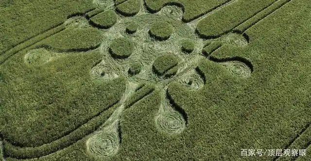 和"新冠病毒"一样的麦田怪圈!是外星人在向人类传达某种信息?