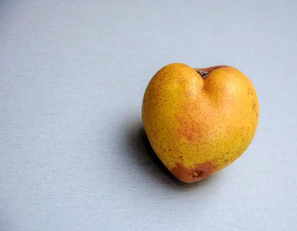 梨的心窗体,梨形心.背景非同寻常的水果