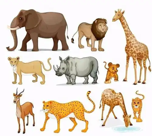 食草动物体型相对较大